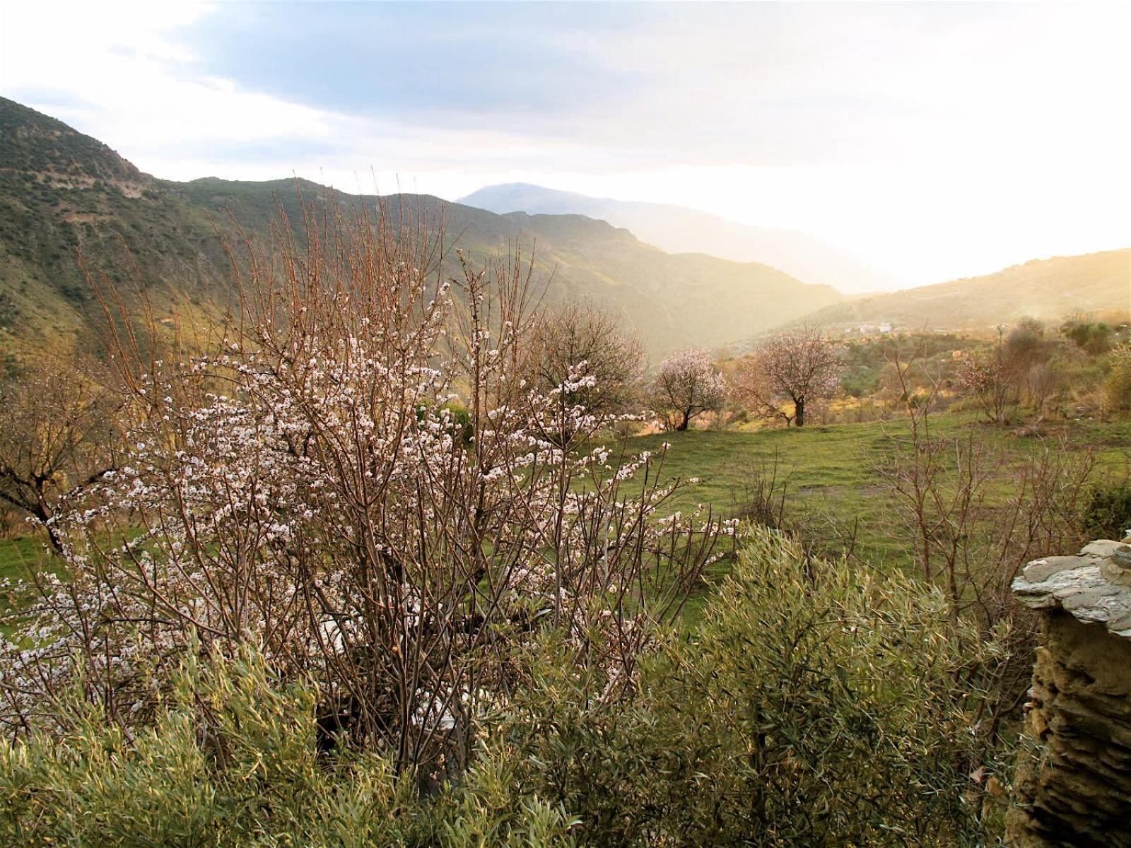 Rural House, Heated Pool & Steam Room, Casa Aloe. Atalbeitar ภายนอก รูปภาพ